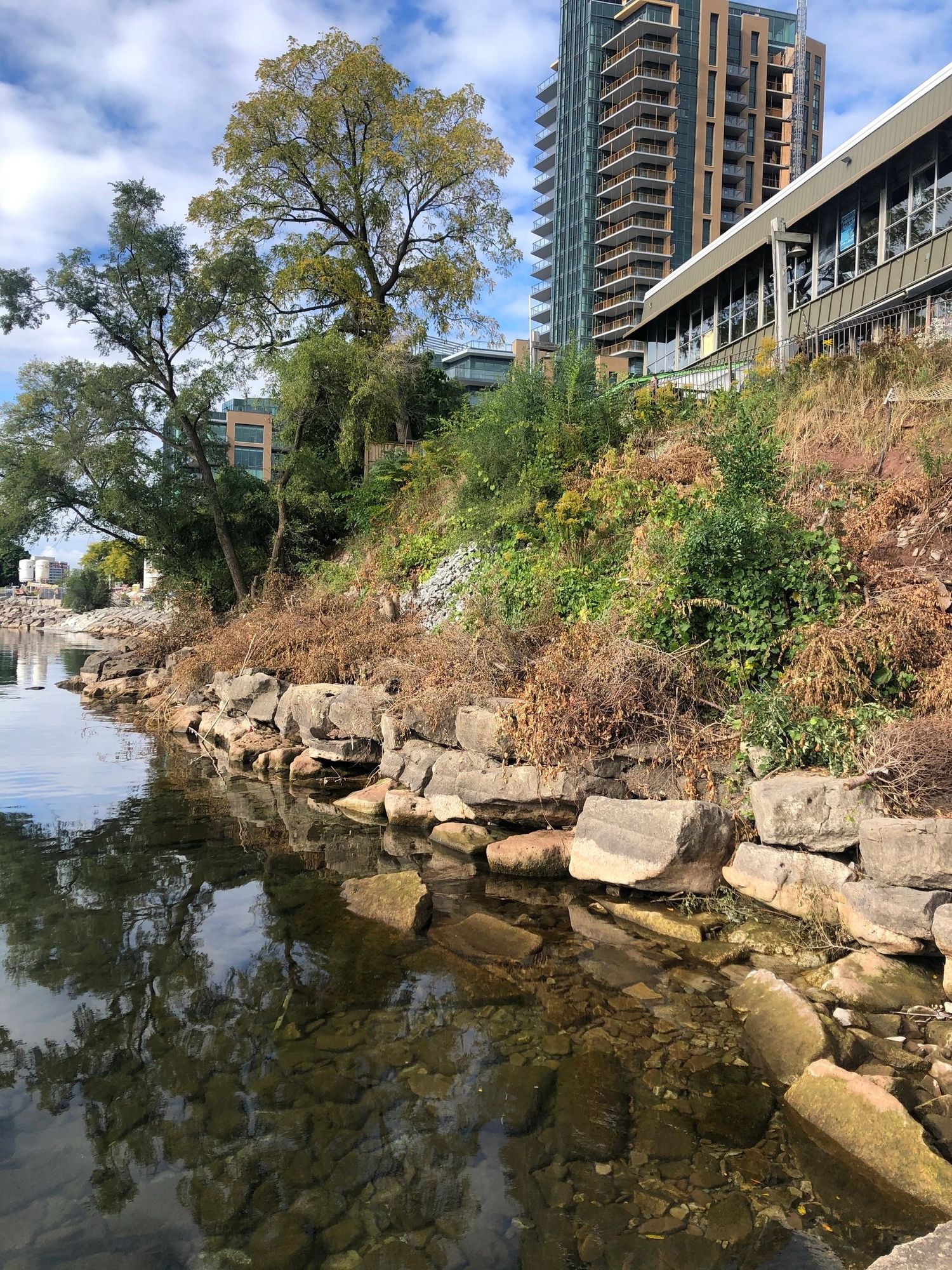 Emma's — photo 10