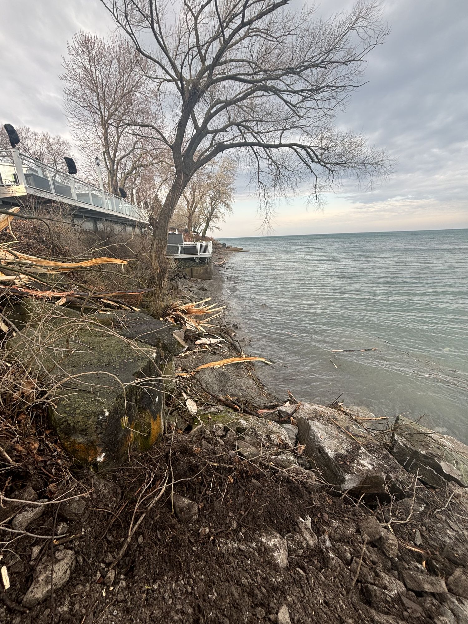 Jet Boat John's Palace — photo 3